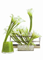 Modern Centerpiece: White Calla Lilies In Different Vessels: 