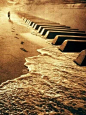 My two loves....The ocean music T Bucket list - learning to play the piano get more only on http://freefacebookcovers.net: 