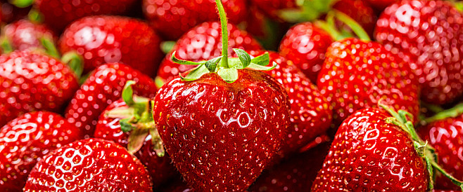 草莓,红色,水果,新鲜,海报banner...