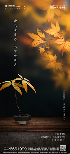 哎逗采集到留白海报