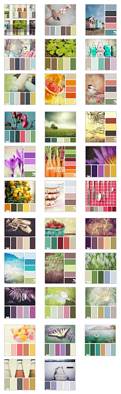 tdddf采集到色彩搭配