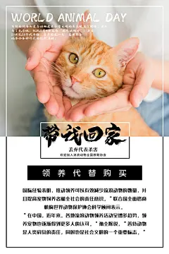 世界动物日保护野生背景展板插画海报设计