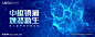 昵图源文件下载：20240309135004894105
