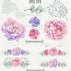 211多重花瓣牡丹花店园艺店标名片祝福卡手绘水彩设高清素材 名片 免费下载 页面网页 平面电商 创意素材 png素材