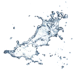 某人叫我姚小贱采集到液体