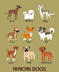 世界名犬图鉴。插画家 Lili Chin从2014年夏天开始画了200多只来自世界各地我们最喜欢的类型的狗，她展示出了一个狗的世界，这是192只犬品种的集合。它们的地理位置、国家分布，海报具有说明功能，卡通风格突出每只狗的独特外观。