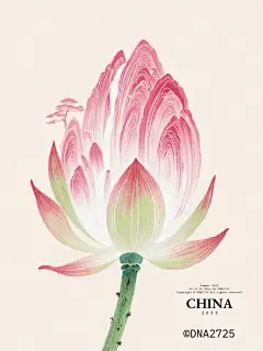 荷中隐 - 小红书