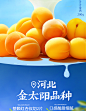 【天猫U先】杏干黄桃干无核酸甜杏肉杏脯果干果脯孕妇解馋零食-tmall.com天猫