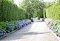 hydrangeas and hedge leading up to stunning gate. Driveway love!!