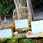 Birdcage Guest Book