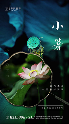 林邵磺一身宠爱采集到小暑