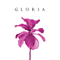 GLORIA BOTANIC on Behance