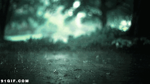 GIF-风景 雨天