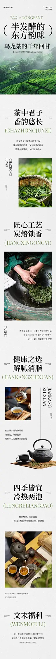茶叶简约实景排版多画布公众号文章长图