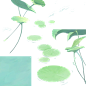 g-s08_dwxw_bg