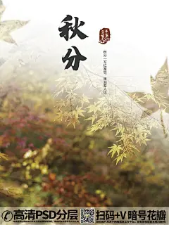 qq282753422秋分节气秋天枫叶落叶海报 (4)