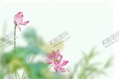 荷花 【酷图网】荷,荷花,手绘荷花,意境,创意荷花,莲花,荷花插画,唯美