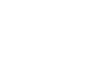 白色橄榄枝