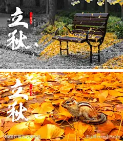 立秋银树叶海报_源文件下载_PSD格式_1920X2202像素-银杏叶,插画,秋分,二十四节气,地产,海报,落叶,实景,松鼠,立秋-作品编号:2023080822499854-源文件下载-志˯设‛ۛ网