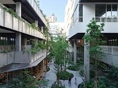 Amos-Zhang采集到商业景观