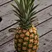 木板上的菠萝摄影图片下载(图片ID:934541)_-水果蔬菜-图片素材_ 聚图网 JUIMG.COM