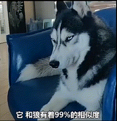 /慬…晚＊采集到笑啊你笑啊