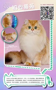 猫咪卡通海报-源文件-采灵感-cailinggan.com