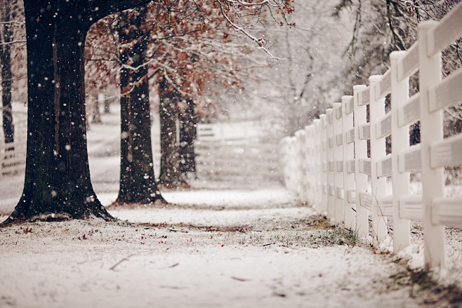 Улица, забор, зима