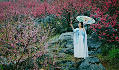 隔世烟云（不聊天）采集到古装美女