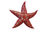 Under the Sea - Pink Starfish by Karolina-Borkowski