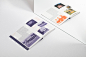 architecture Biennale book editorial hungary identity print typography   venezia Venice