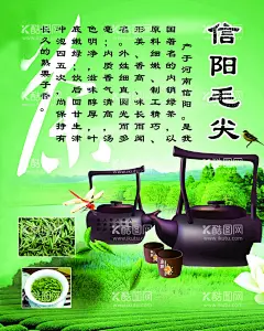 信阳毛尖都匀毛尖茗香  - 源文件下载【酷图网】信阳毛尖,都匀毛尖,白毛尖,细毛尖,鱼钩茶,雀舌茶,中国十大名茶,绿茶红茶,茶盒设计,茶字,茶包装,茶文化,茶具,茶海报,茶叶展板,茶广告,中国名茶,茗香,茗茶,茶铺,茶谱,茶馆茶楼,茶,喝茶,品茶,普洱茶,碧螺春,茶业公司,安溪铁观音,采花毛尖,古丈毛尖,毛尖茶叶,贵州茶,云南普洱茶,岩茶,茶庄