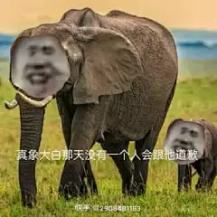 【ikun】蔡徐坤表情包第四弹！ - 哔哩哔哩