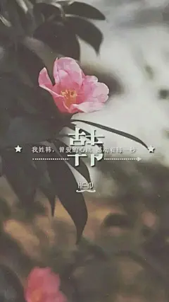 姓氏壁纸 美图 壁纸
