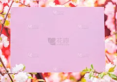 盛开的杏花枝间的粉红色空白纸。