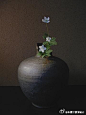 flower arrangements--日本插花师Ikebana