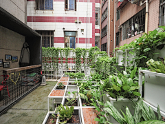 lJOyQ_珩采集到屋顶花园