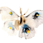 Moth - Fine Art Print from Original Watercolor Painting