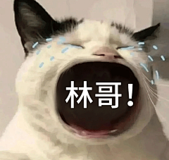 忘贝采集到B-表情包嘿