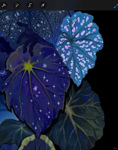 插画｜谁还没有蓝光秋海棠啊 - 小红书