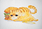 猫与食物-夏池_猫,猫咪,美食_涂鸦王国插画