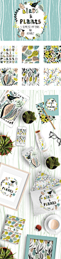 Birds&Plants : Set of five patterns with alphabet (letters&numbers)