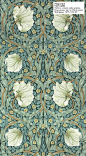 William Morris wallpaper.: 