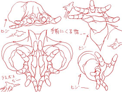 Makingcrazy采集到19-人体结构动态