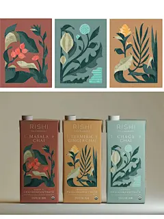植物手绘包装插画