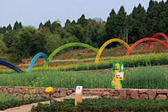 贾祺斐采集到乡建