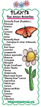 Butterfly Plants from Kids Growing Strong