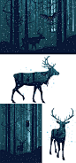Snowy Winter Forest with Deer : Snowy Winter Forest with Deer