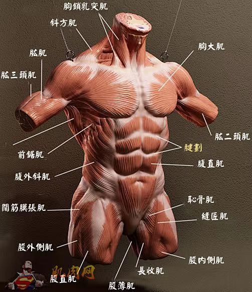 微信图片_20220609113644