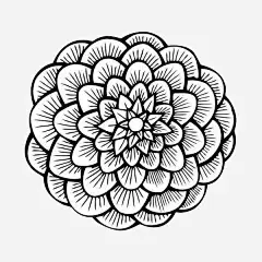 手绘线条花卉图标高清素材 植物 线描 线描花矢量图 线条手绘 花卉 黑色线条 免抠png 设计图片 免费下载